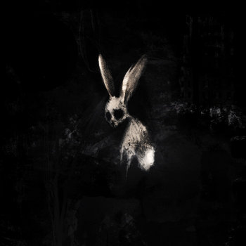Tapa de Follow the White Rabbit